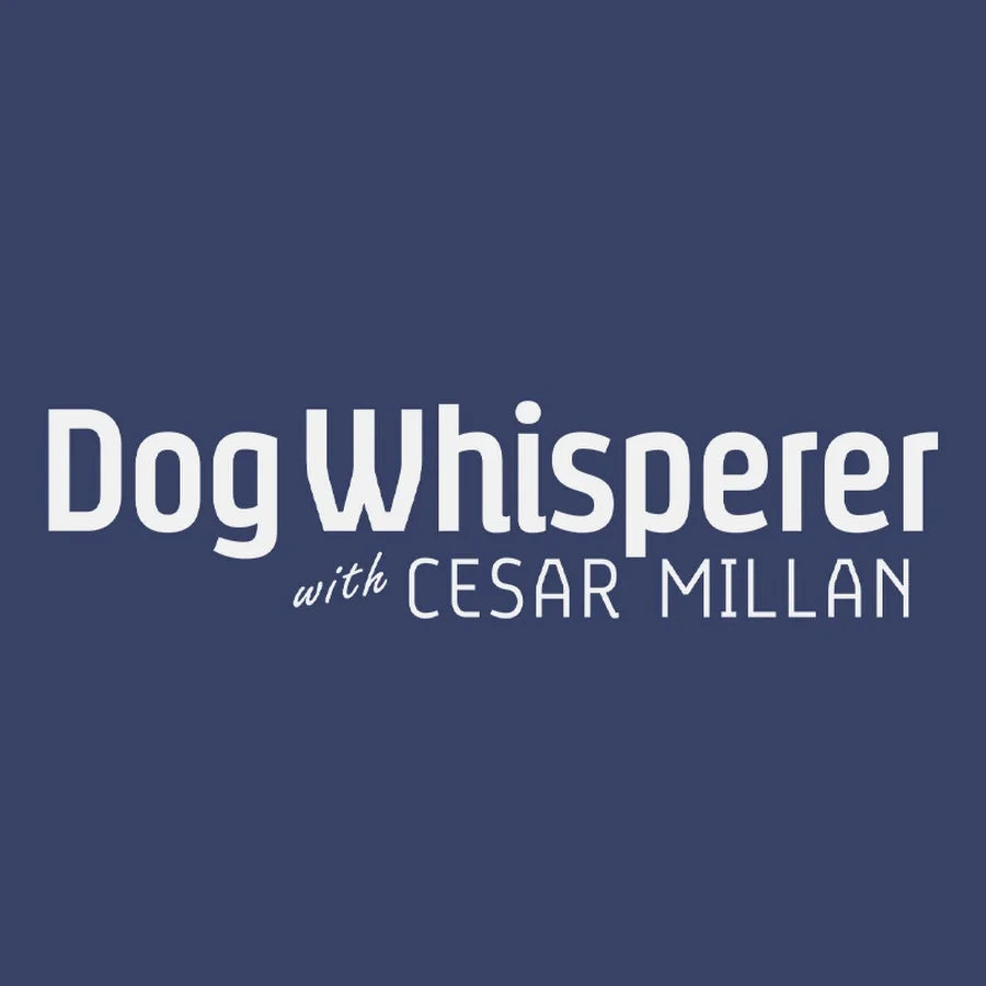 Dog Whisperer with Cesar Millan
