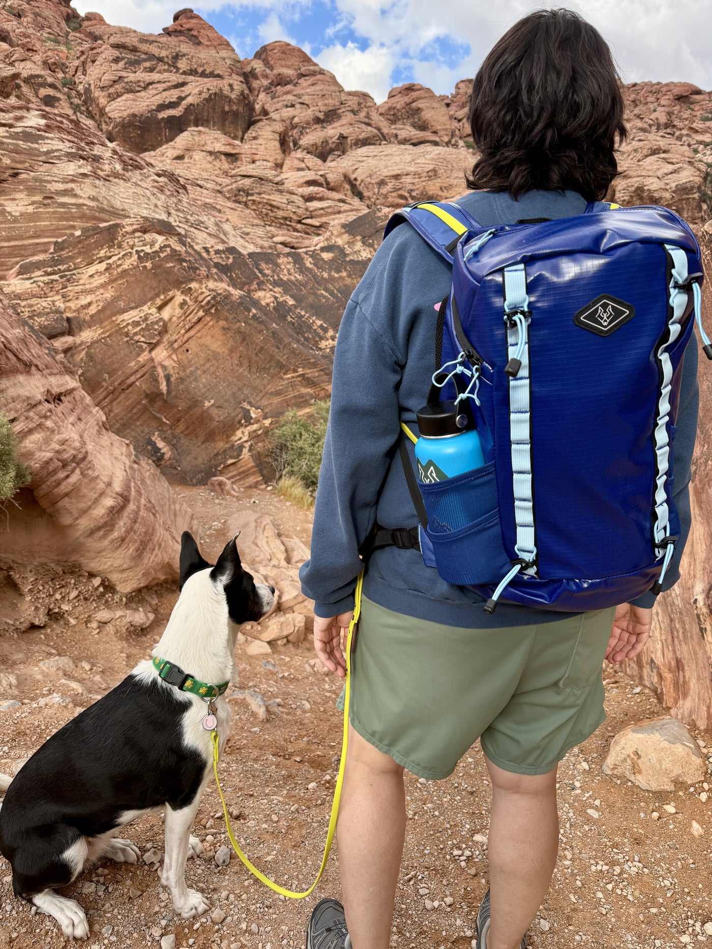 Jessie on a Hi-Vis Lime leash at Red Rock Canyon, sitting beside her person wearing the blue Wolfstride Backpack