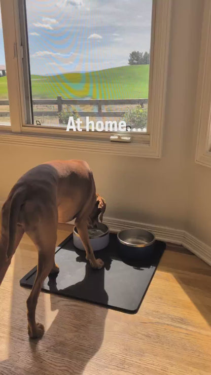 Stainless Steel Dog Bowl