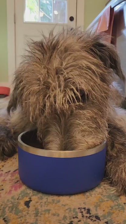 Stainless Steel Dog Bowl
