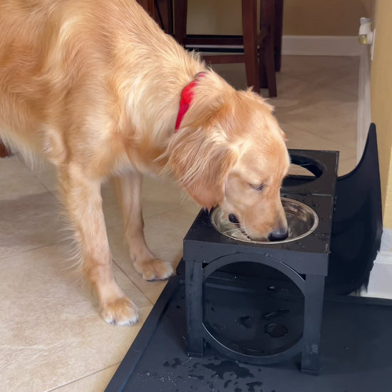 Video of a dog eating from the Wolf Woman Essentials Silicone Feeding Placemat in a real home.