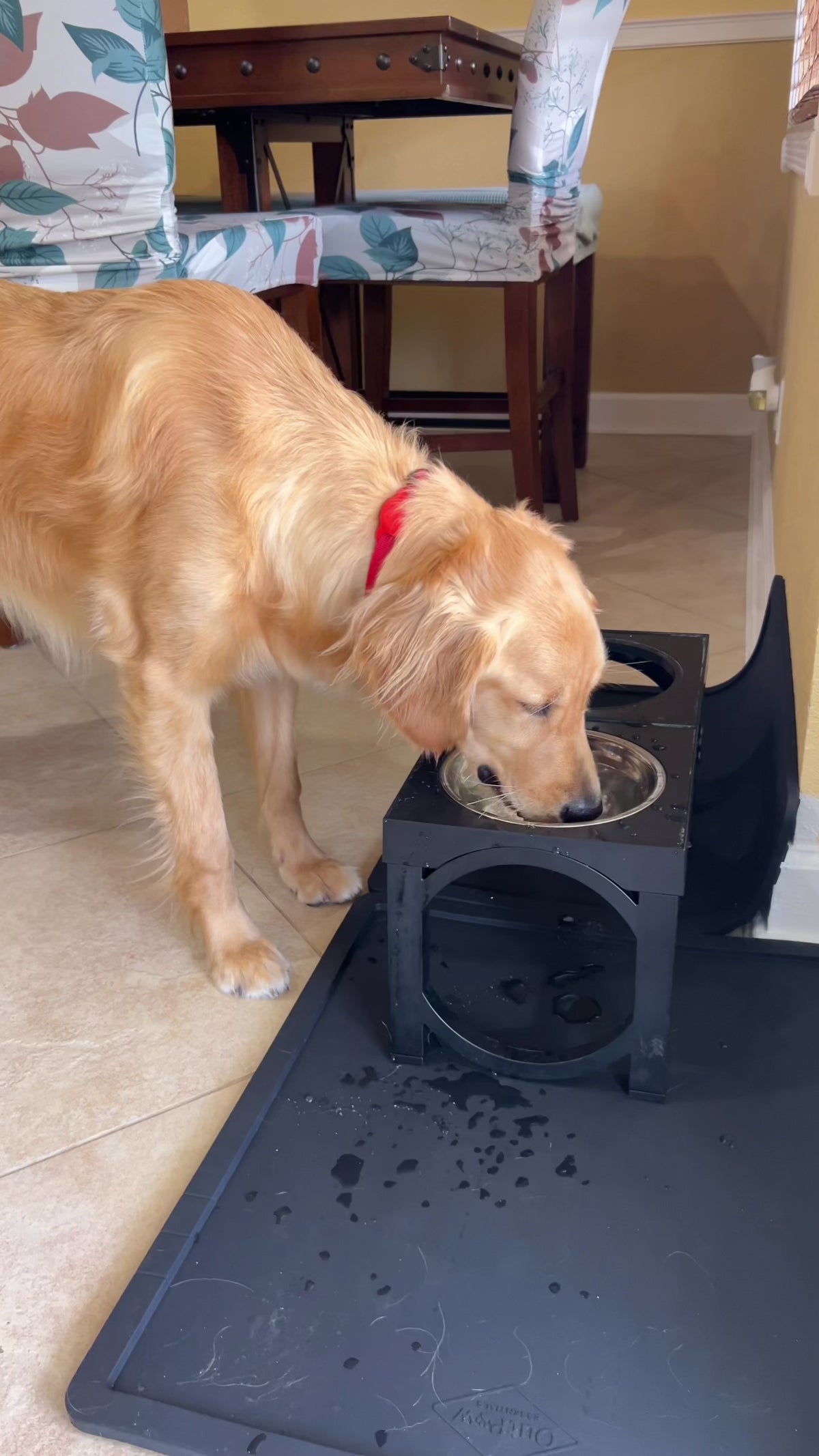 Video of a dog eating from the Wolf Woman Essentials Silicone Feeding Placemat in a real home.