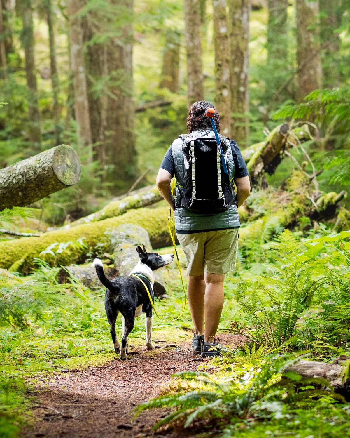 Jennifer McCarthy walking a forest trail with her dog Jessie on a loose leash