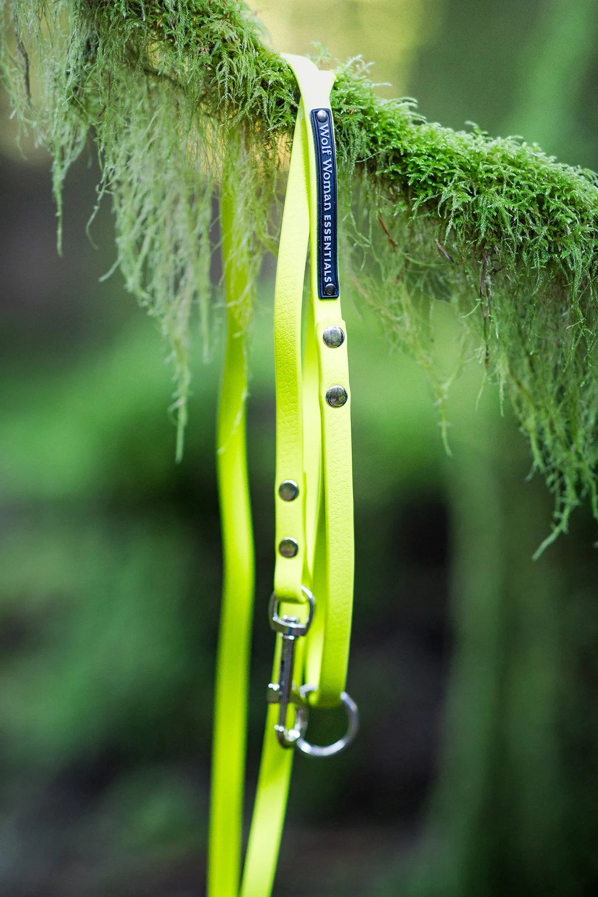 Eco Performance Leash