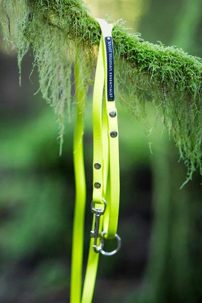Eco Performance Leash