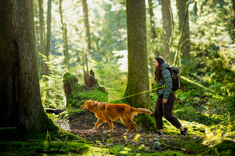 The Wolf Stride System™